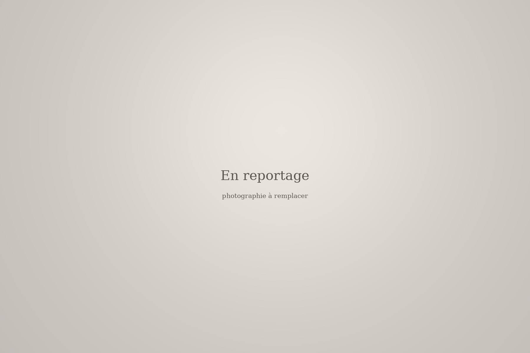 Joks en reportage de mariage